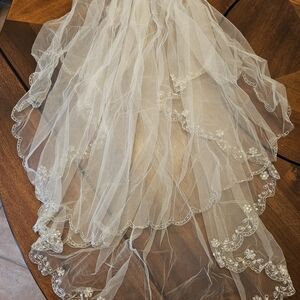 Elegant Champaign Lace Veil
